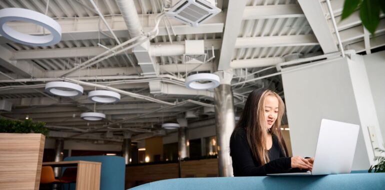Ceiling Type Dehumidifier